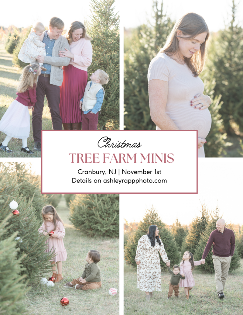 MINI FLYERS (11)