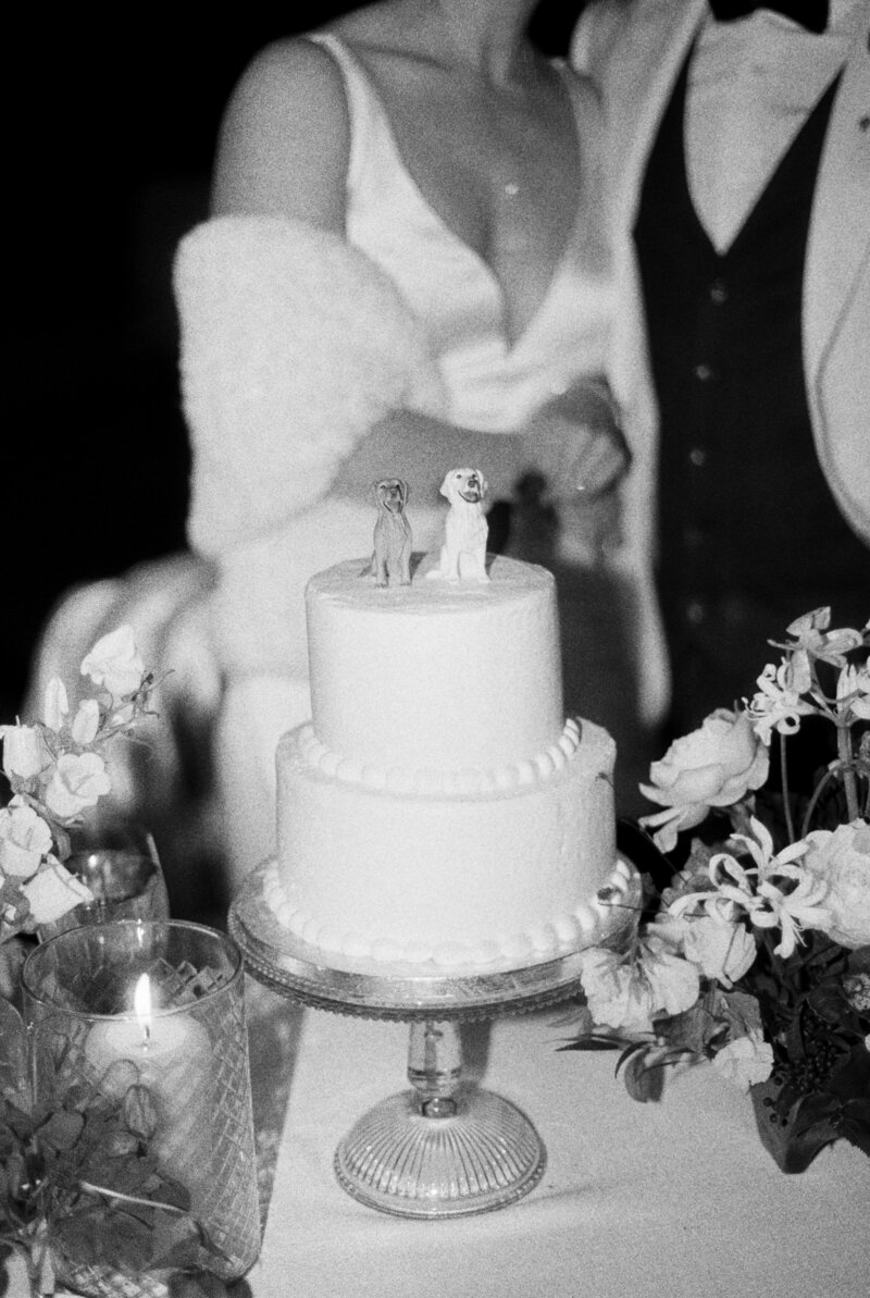 GinnyLeeMarried-1374