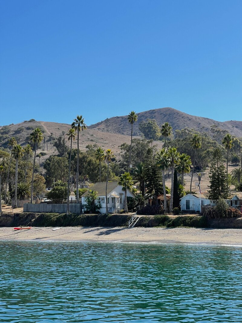 Coastal California beach with palm trees and houses near hillside under clear blue sky