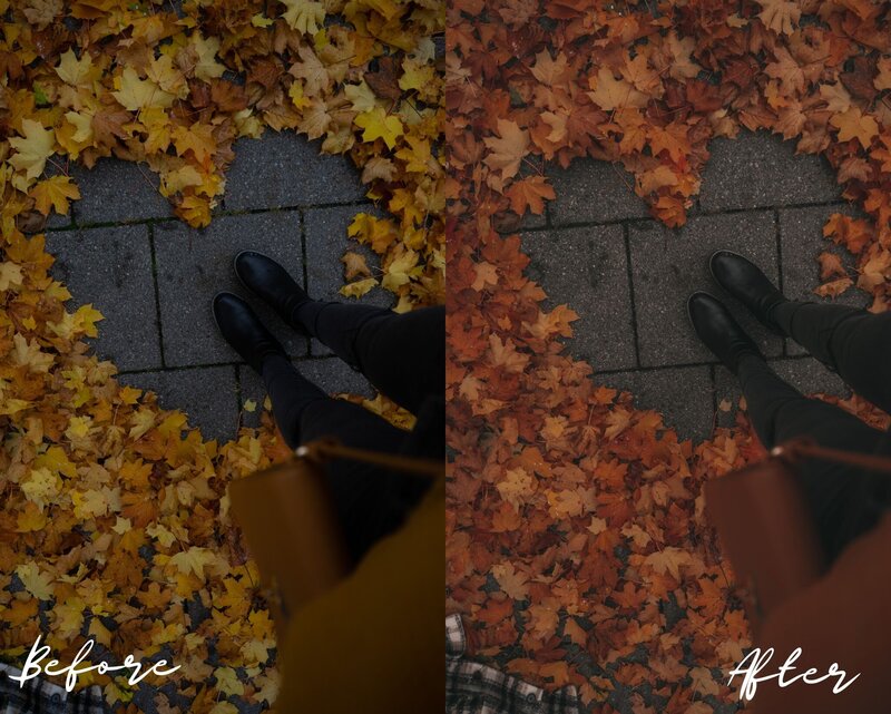 Before_and_After_3_Moody_Autumn