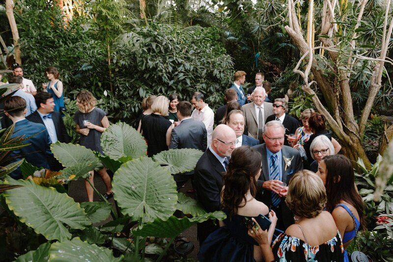 wedding guests at bloedel conservatory in vancouver
