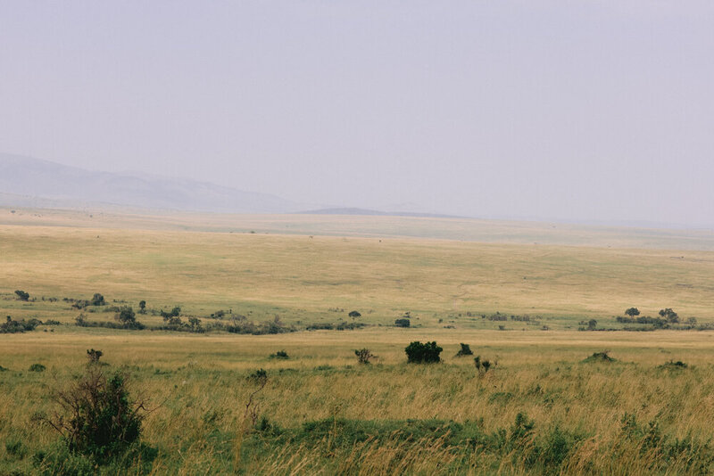 safariedited-489