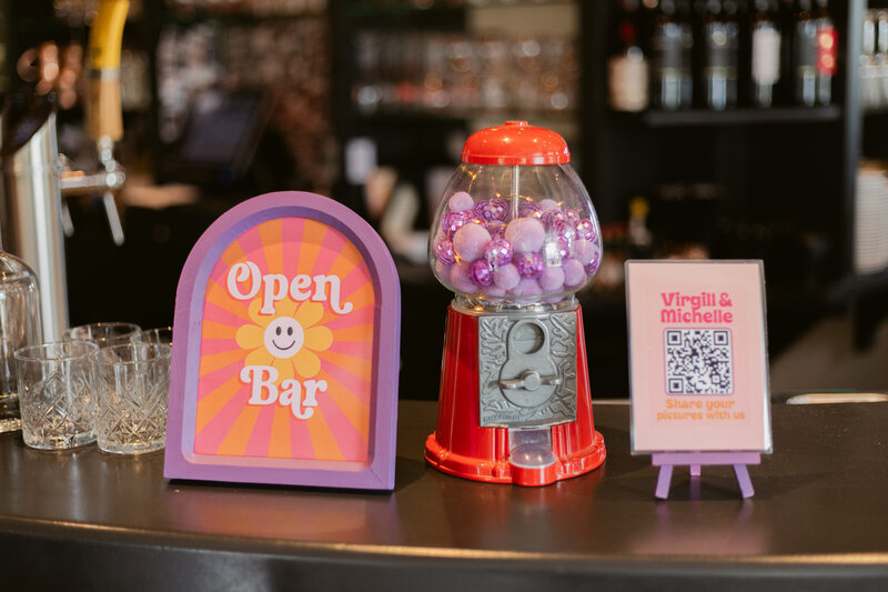 annedenhaanbruiloftxvirgillmichelle-378