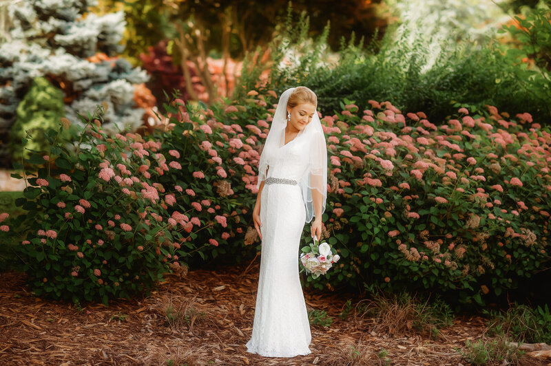 Bride peers out the window of a classic rolls royce on her Micro Wedding day in Asheville, NC.