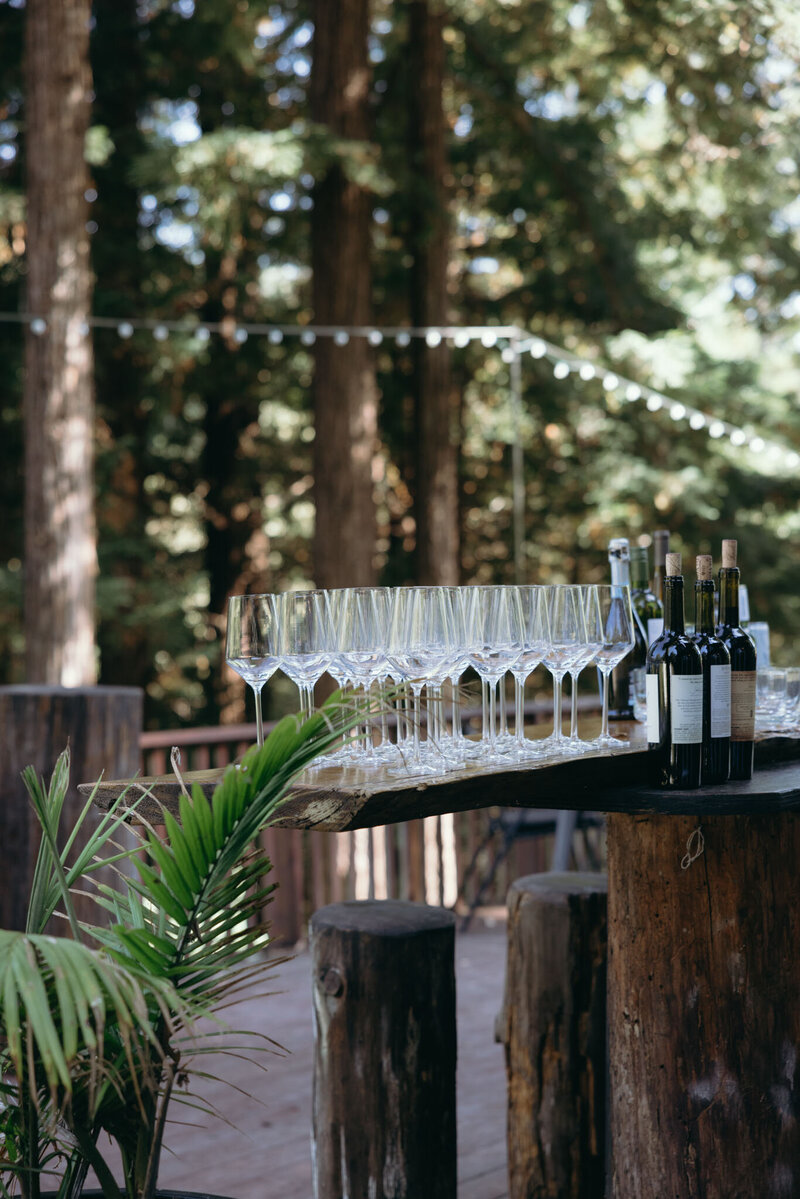 SparrowValleyWedding-14
