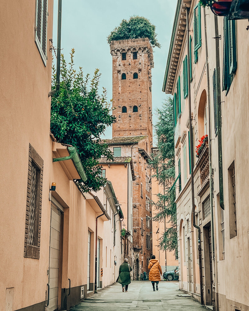 Guinigi tower in Lucca
