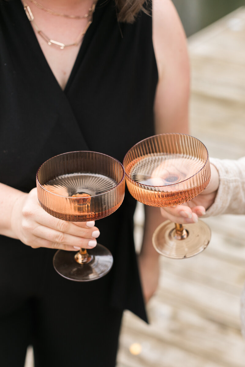 two women clinking wine glasses