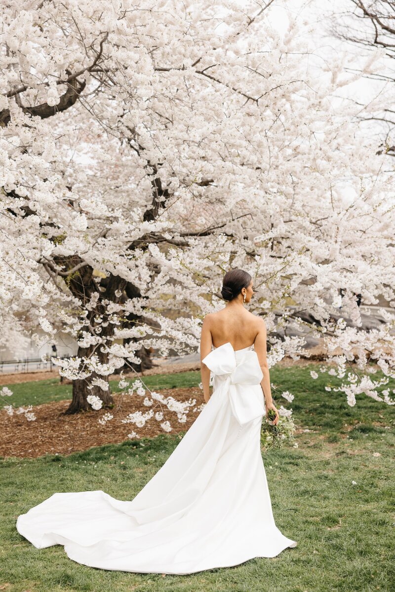 4.10.25_amv_central_park_editorial_nyc_web-4