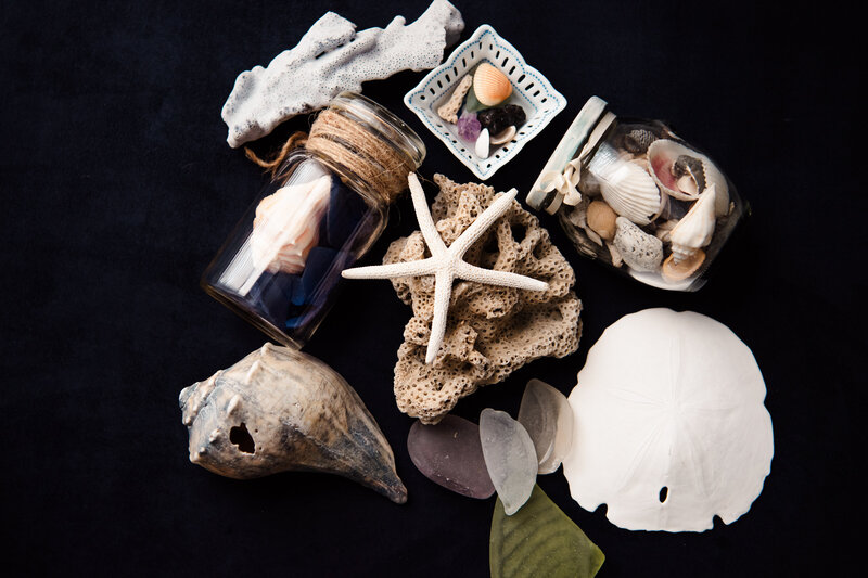 finding shells and sea glass at the beach