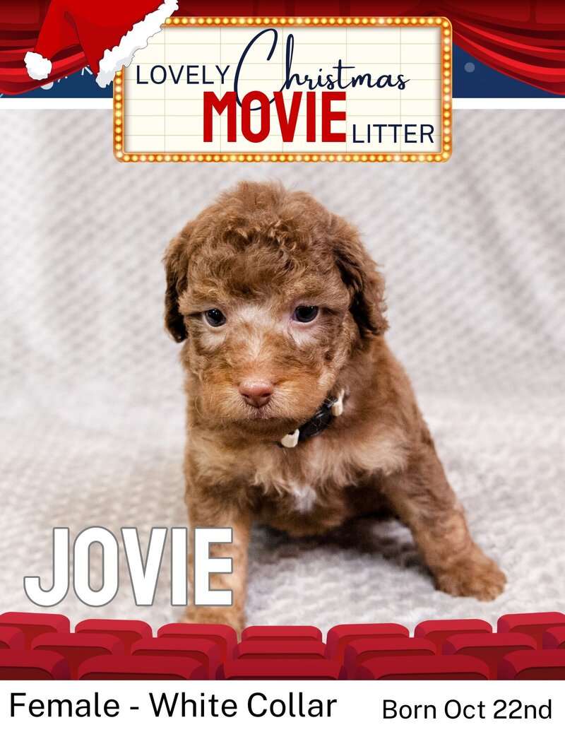Christmas Movie - White Jovie Female
