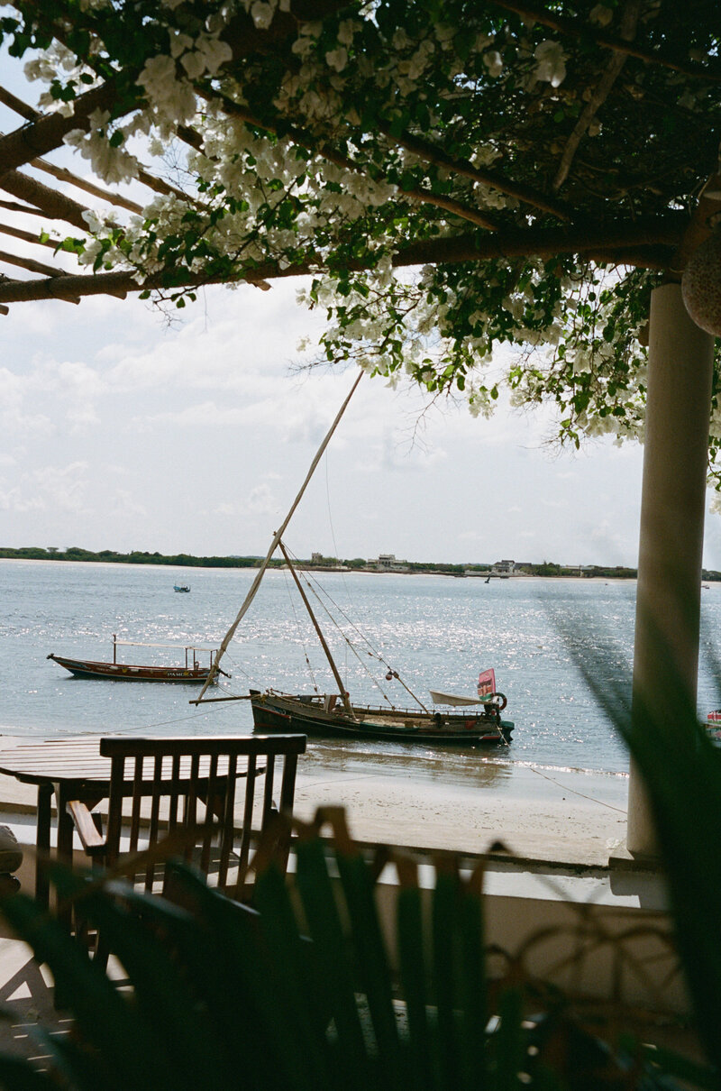 Jennylosee.com (229 of 493)