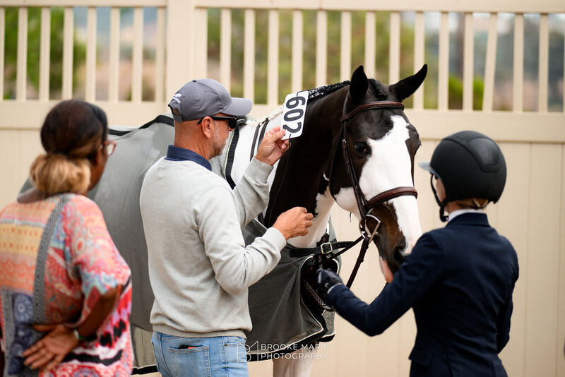 CHEROKEESHOWHORSES-2024DELMAR-SUNSHINECLASSIC-8169