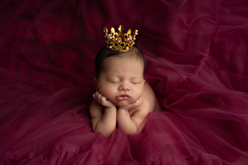 San Antonio baby newborn photography studio lifestyle newborn photographer luxury photo studio wraps outfits posing twin newborns