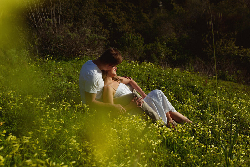 california_wildflowers-4
