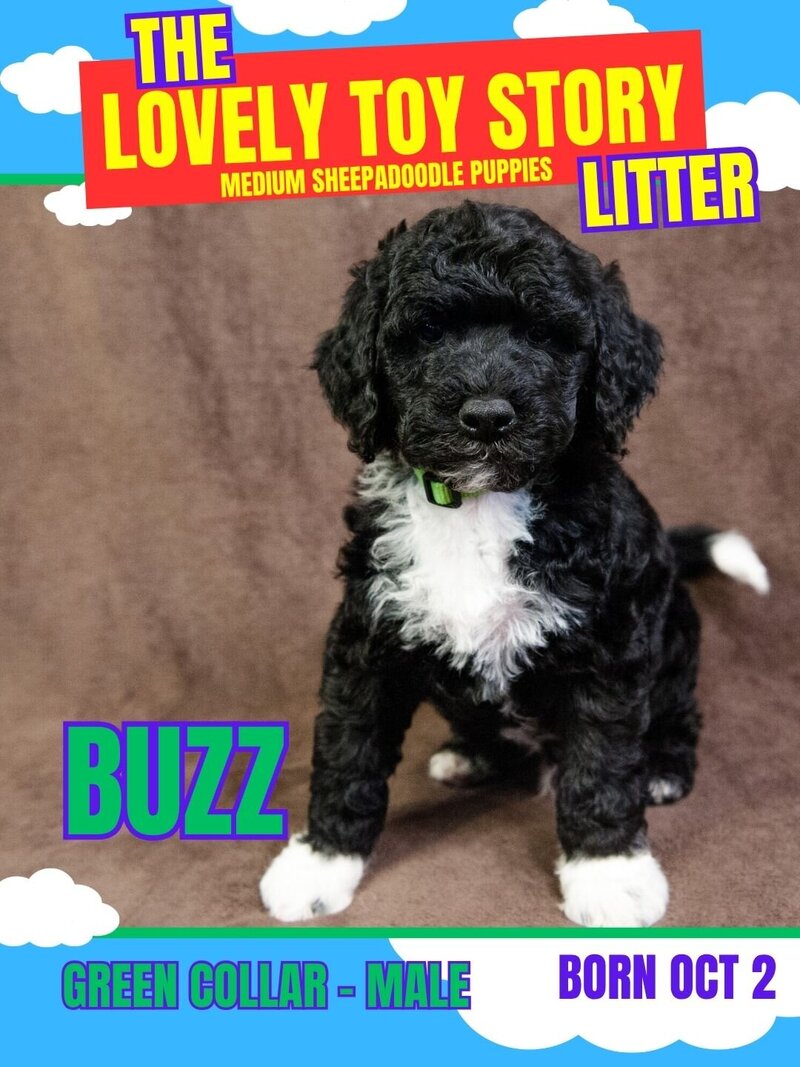 Toy Story - Gray Buzz Male