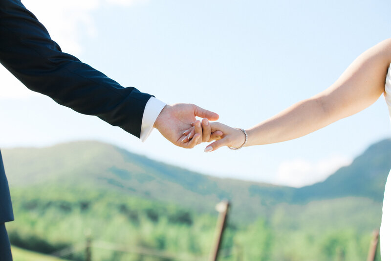 bride and groom hand holding in front of blue and green mountains with blue sky background