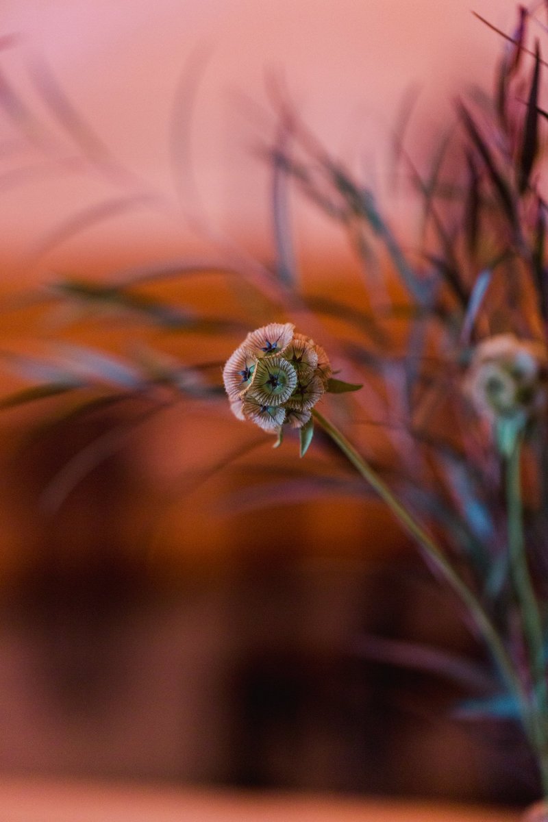 The-Grange-Community-Kitchen-Hamburg-NY-Halloween-Party-Buffalo-Bills-46