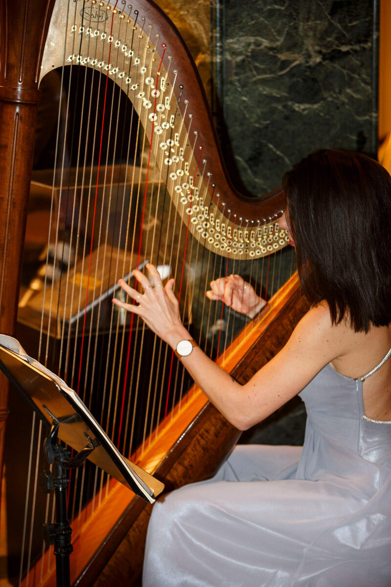 Luxury brand experience with live harp performance for UHNWI audience