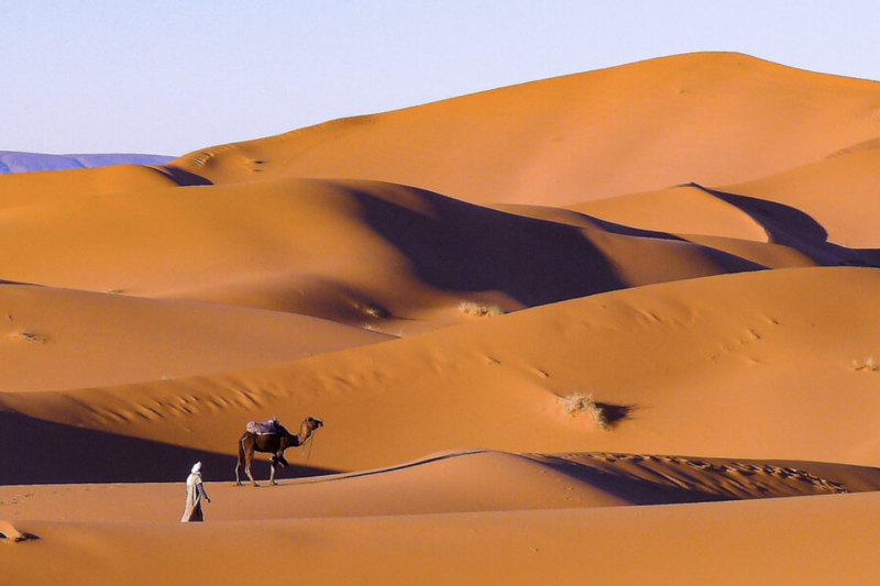 Sahara Desert Landscape from Travel Magazine The Loaded Trunk