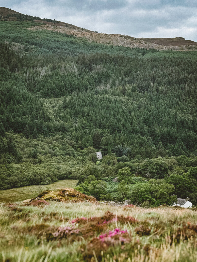 IMG_1931