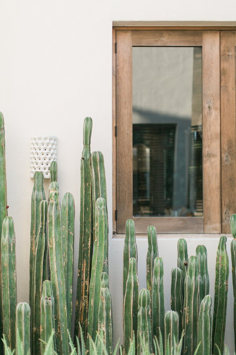 Luxury wedding in dessert with cactus in front of window