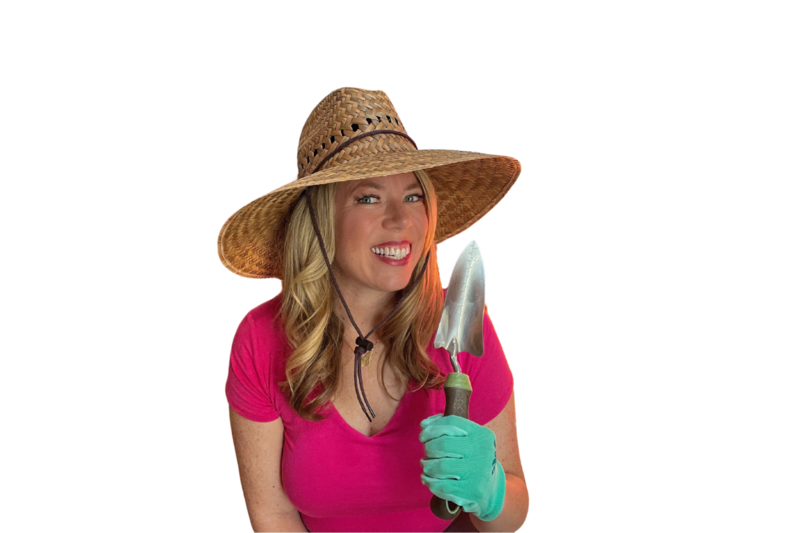Website Growth Kit by Amy Hates Carrots - Amy Loves Websites