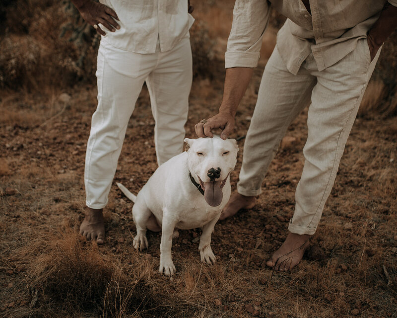 cute dog engagement session at the superstition mountains