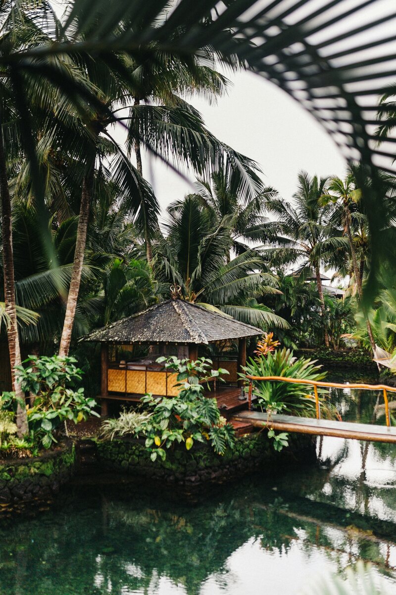 DTS_Island_dreaming_Kristian_Irey_Photos_ID1710