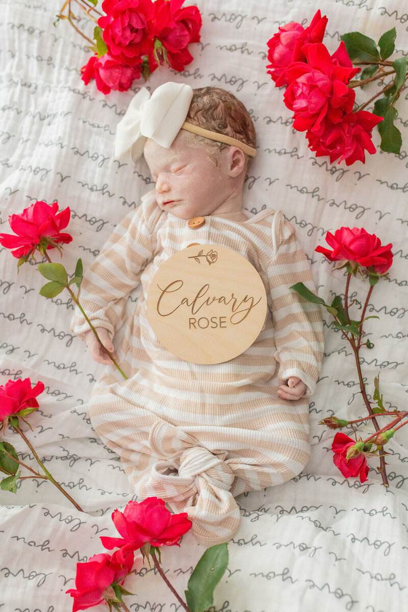 Calvary Rose surrounded by flowers