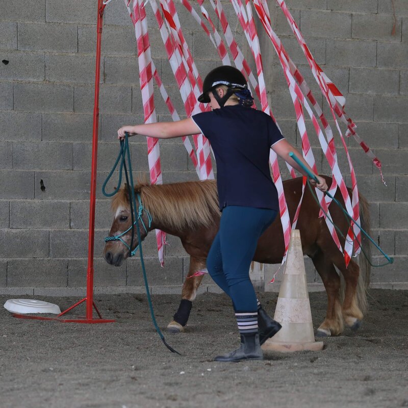 Natural-Green-Horse-cheval-chevaux-TOTAL-Horse-Feed-ambassadeurs-Lucie-Mercurio-4