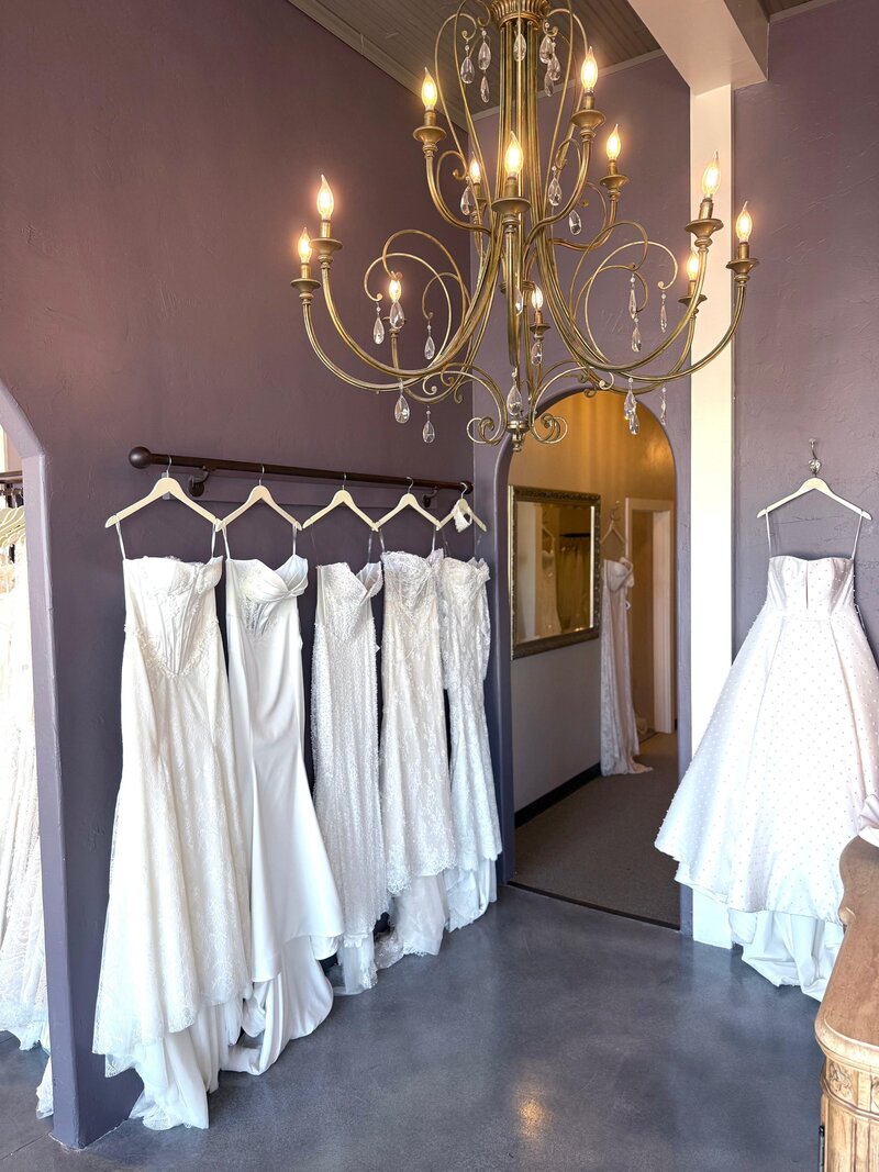 the blushing bride boutique frisco texas (4)