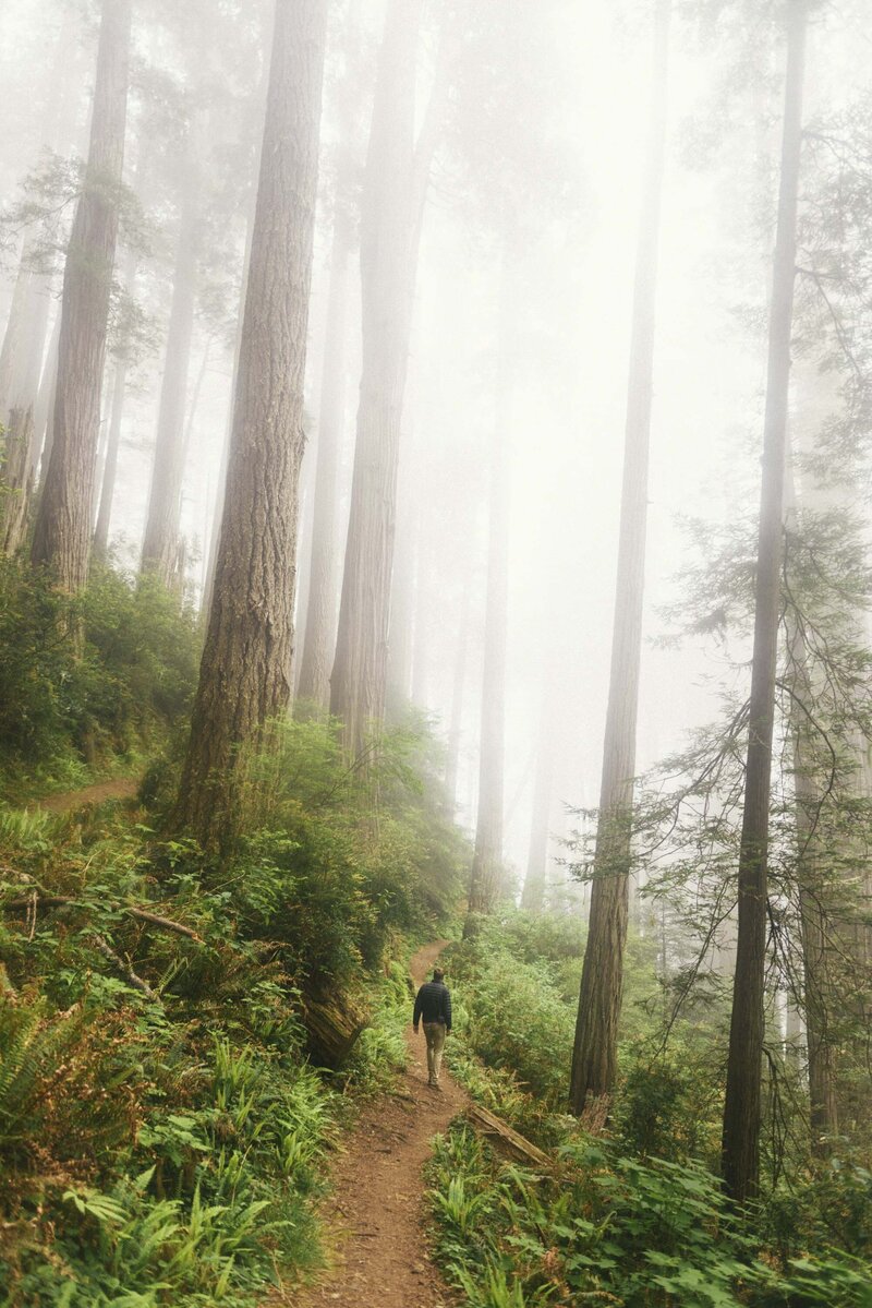 Person walking in the woods