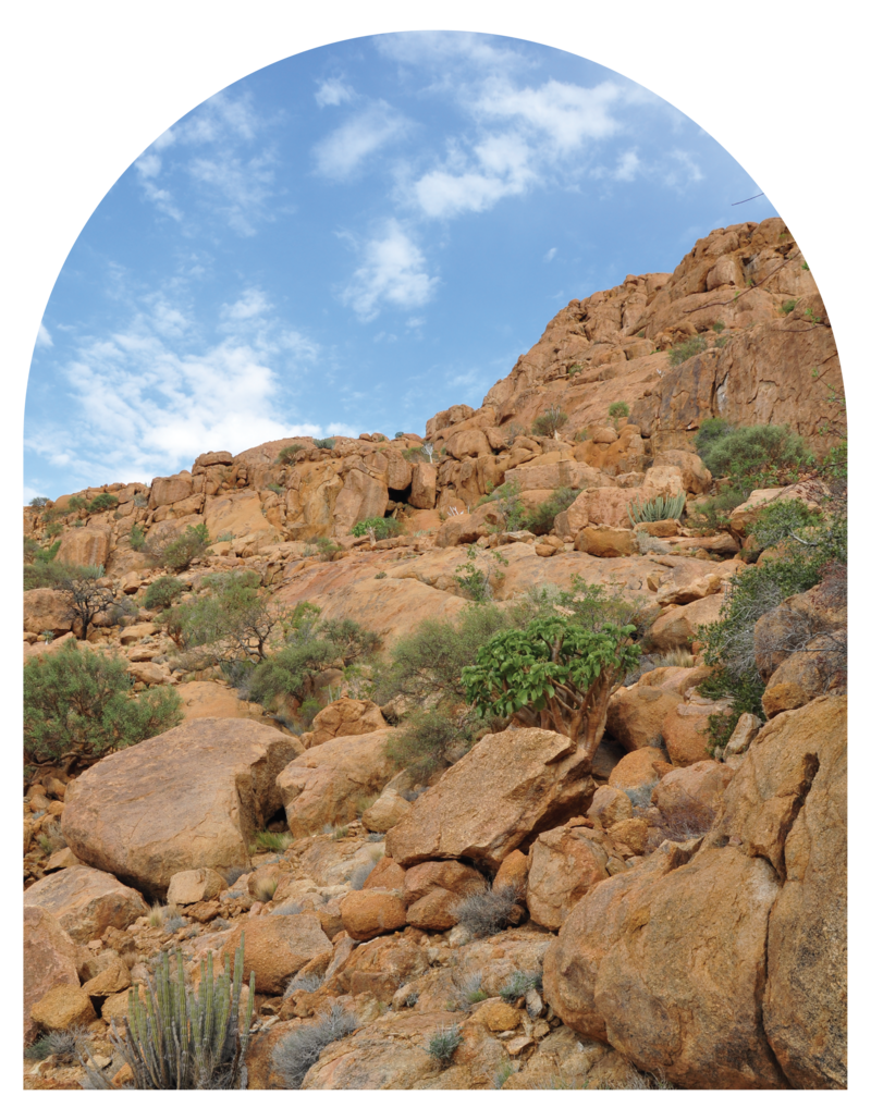 Spizkoppe-Namibia