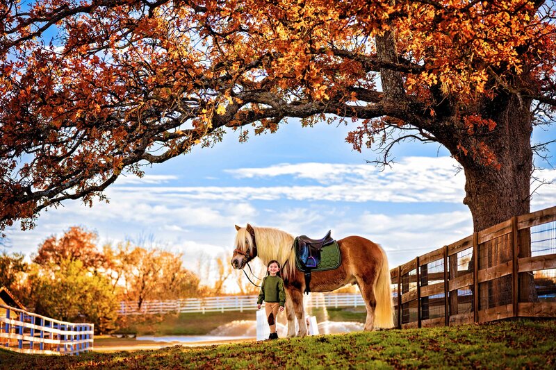 Young equestrian poses next to her Halflinger pony under a fall tree.