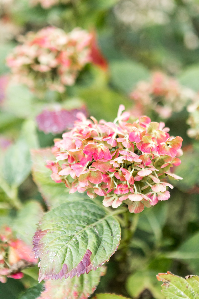 0006-2019-ItalyWedding-JanaMarie