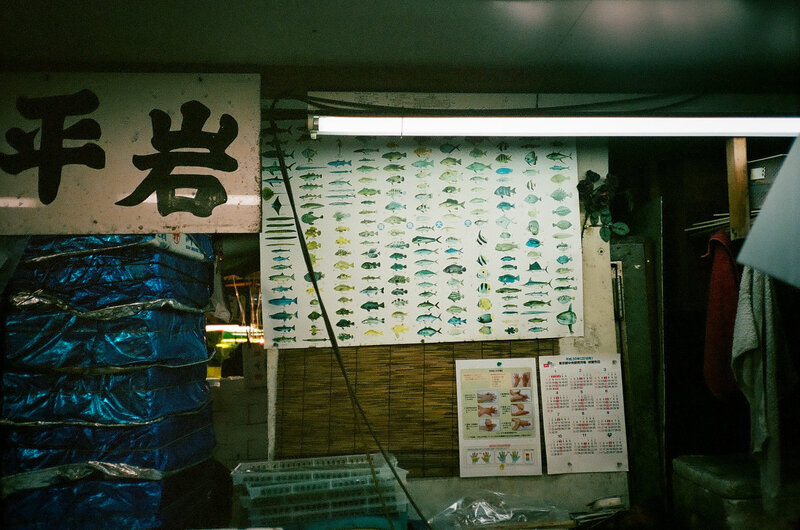 tsukiji-fish-market-japan017