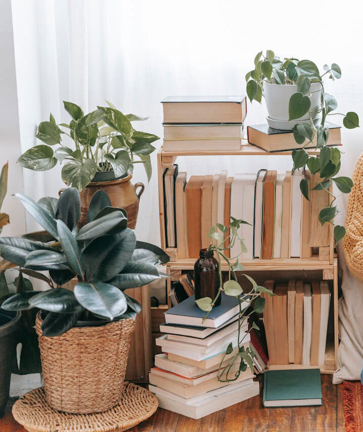 Une bibliothèque de livres avec des plantes