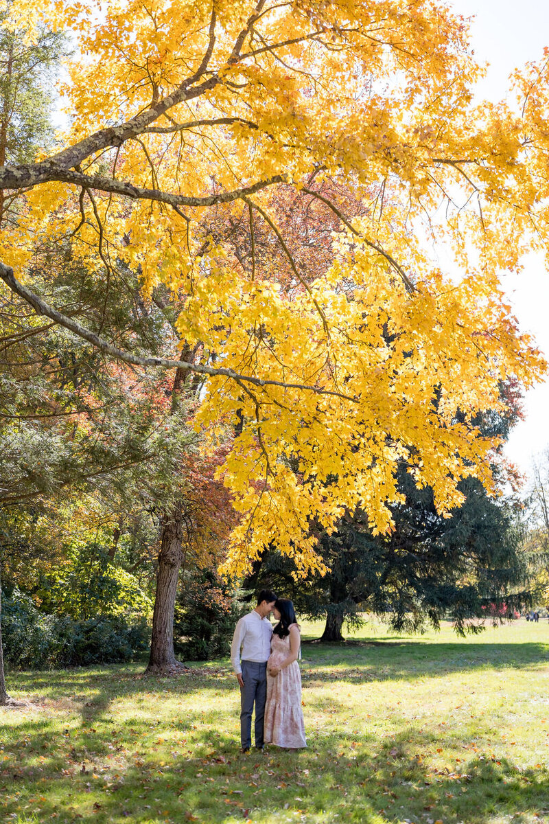 Walpole MA maternity photos_francis william bird park12