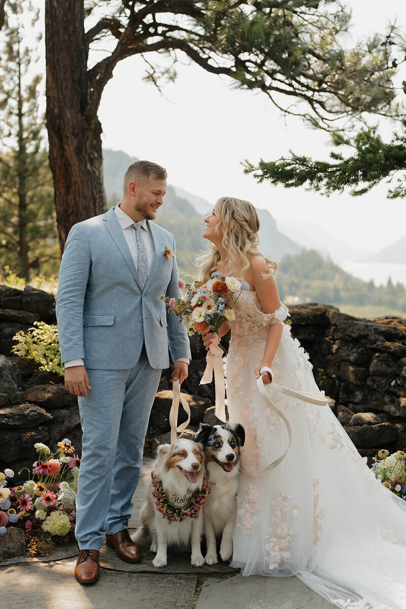 Candid wedding portrait with the couple and their two Australian Shepherd dogs. The couple is laughing together and looking at one another. They have sprawling views of the Columbia River Gorge behind them and colorful wedding flowers around them. The groom is on the left and is wearing a powder blue suit. The bride is on the right wearing a white wedding dress with blush and cream lace detailing.