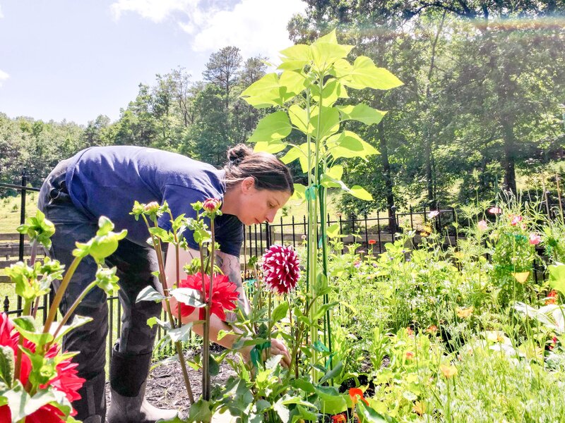 flower farmer