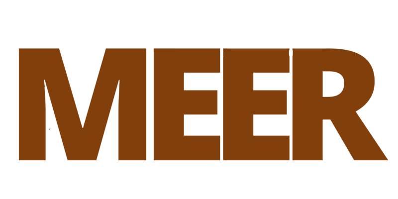 MEER logo bruin