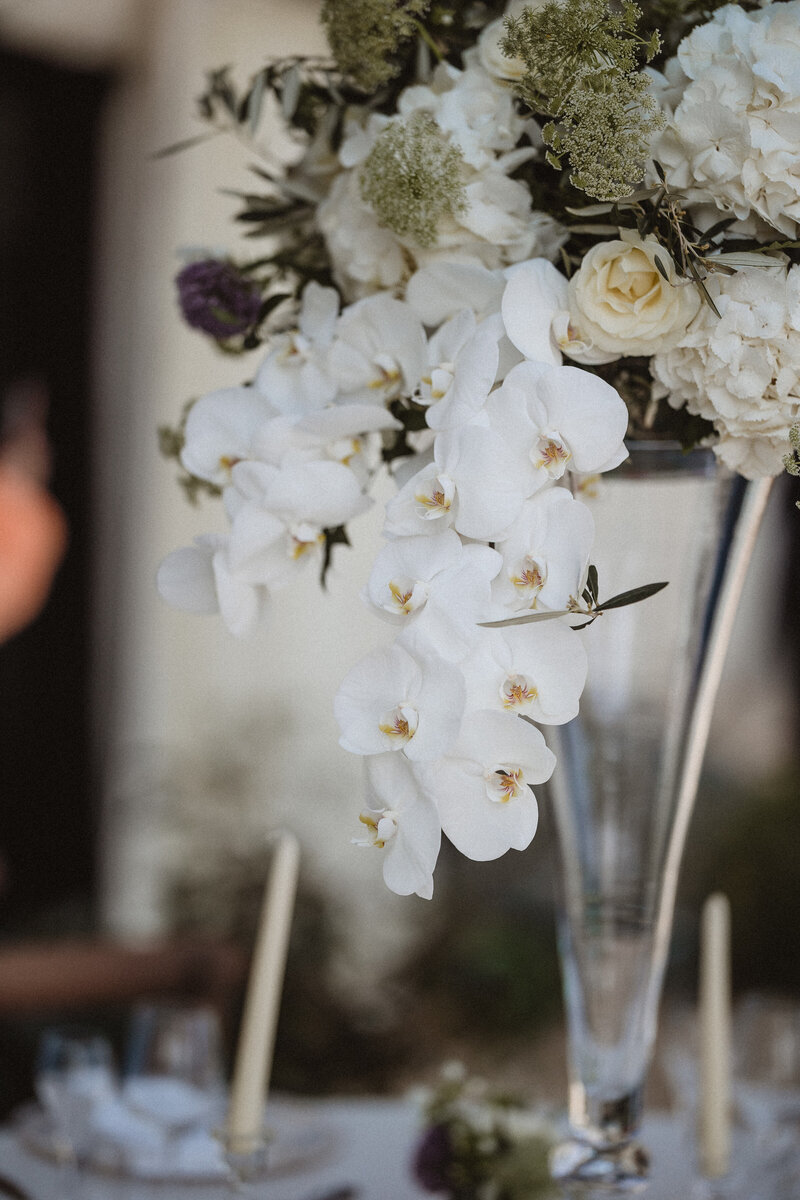 White Orchids in a vase at Carbis Bay