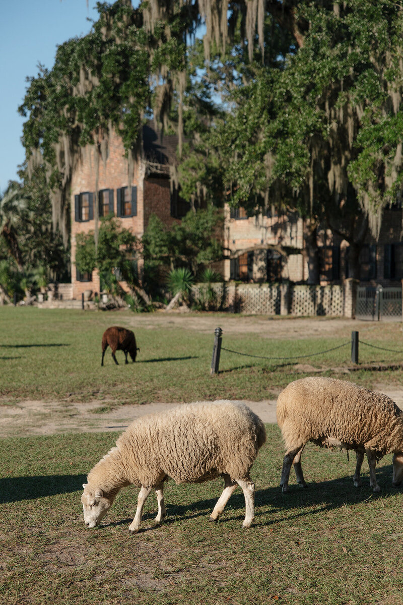 9873721647.jpg_exif1