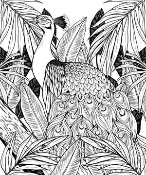 FINAL-Peacock-on-Branch