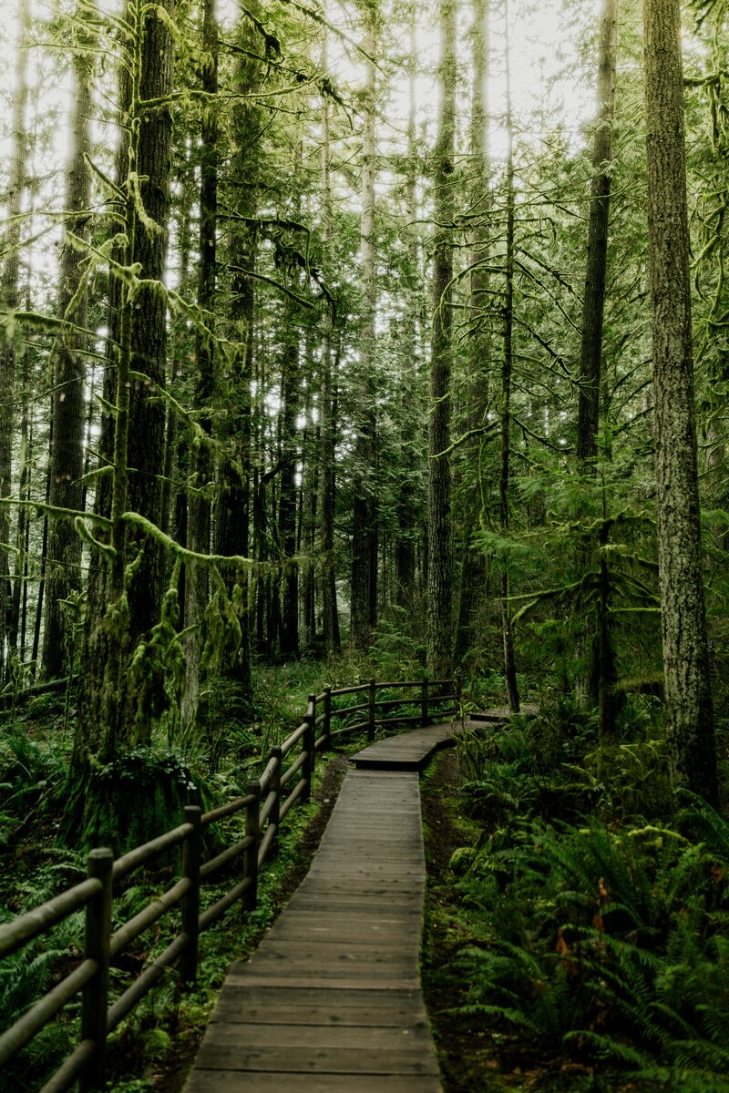 Coquitlam nutritionist
