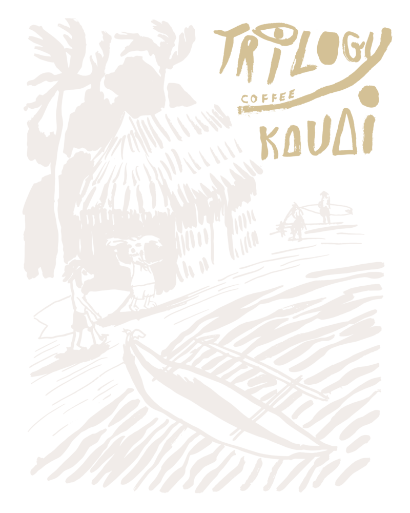 artwork of trilogy coffee shop on north shore of kauai