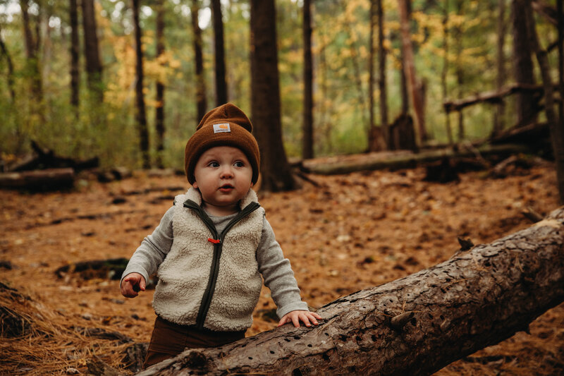 Photo of small child in pine forest at rocky river reservation,