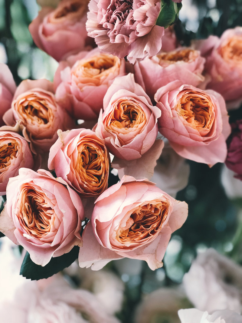 Canva - Pink Rose Flower Bouquet