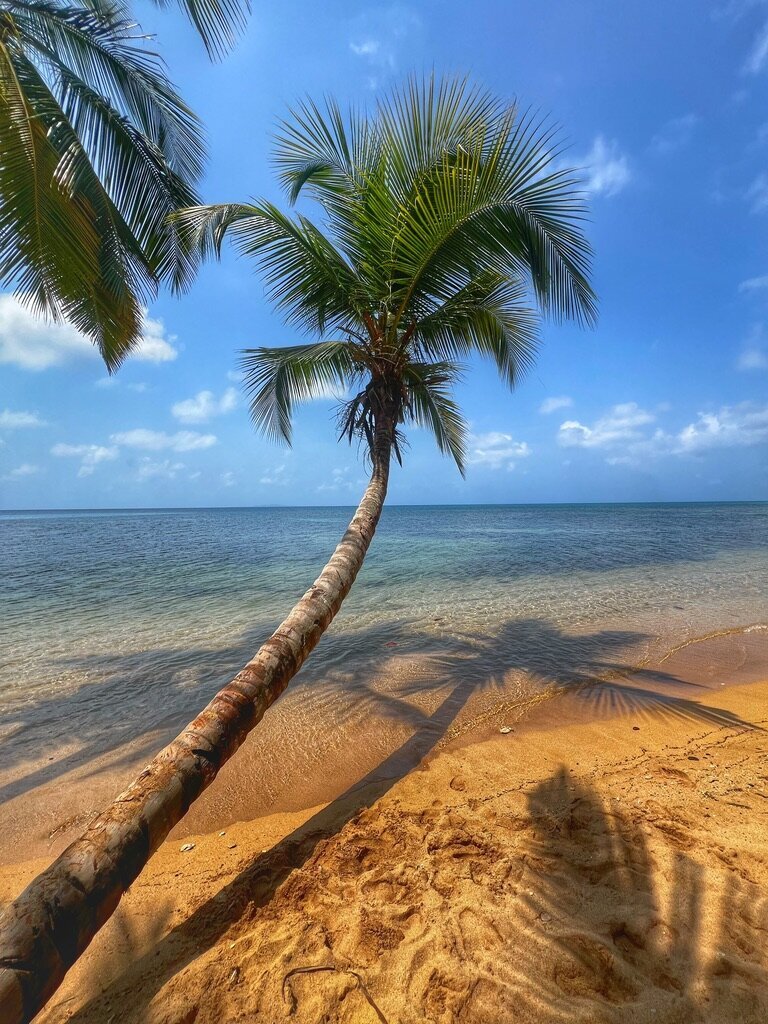 ED83DE11-458F-41E3-B9FD-521B64CEDE7D_1_105_c