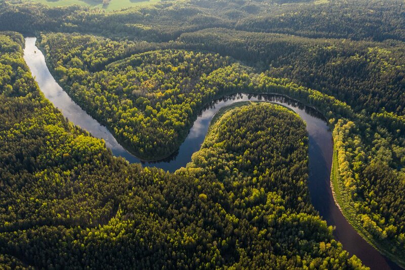 AMAZON RAINFOREST PHOTOGRAPHY WORKSHOP